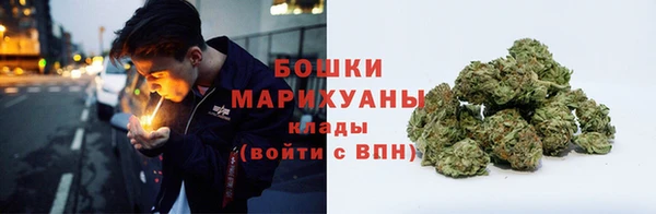 сатива Балабаново