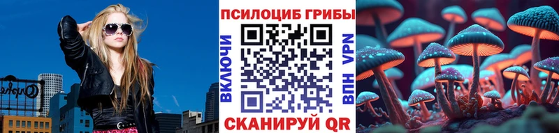 Псилоцибиновые грибы Psilocybe  Вилючинск 