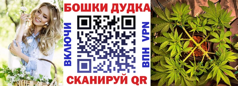 Конопля Amnesia  магазин    Вилючинск 